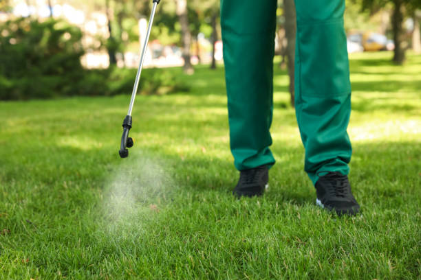 Best Pest Control Near Me  in Brownlee Park, MI