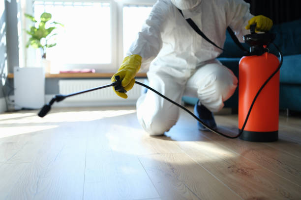 Best Pest Control for Homes  in Brownlee Park, MI