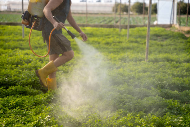 Best Ant Control Services  in Brownlee Park, MI