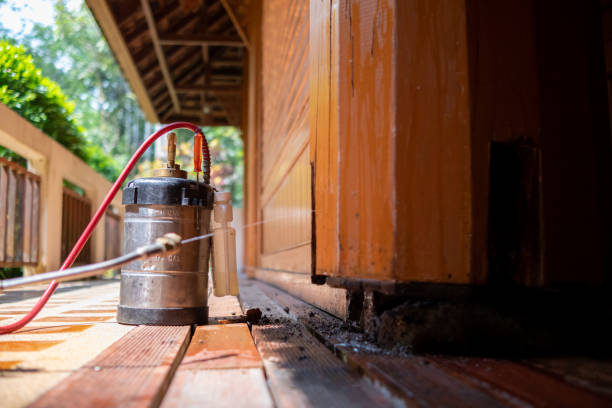 Best Pest Prevention Services  in Brownlee Park, MI