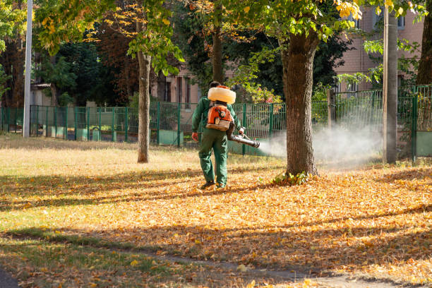 Best Cockroach Control Services  in Brownlee Park, MI