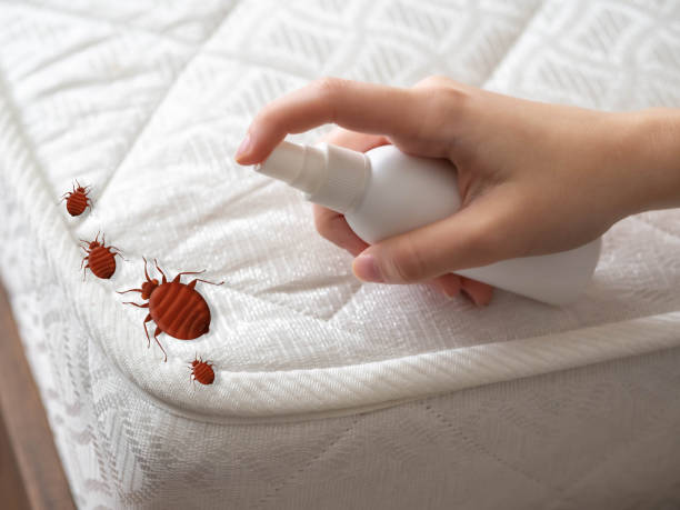 Best Residential Pest Control  in Brownlee Park, MI