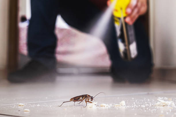 Best Cockroach Control Services  in Brownlee Park, MI