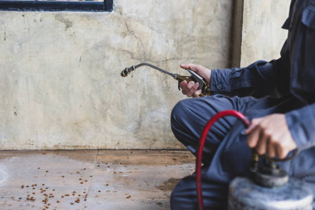 Best Best Pest Control Companies  in Brownlee Park, MI